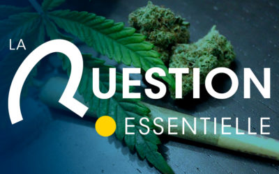 [RESULTATS] Dans le cadre d&rsquo;un hypothétique débat national sur la consommation de drogue en France, seriez-vous favorable à la dépénalisation du cannabis en France ?