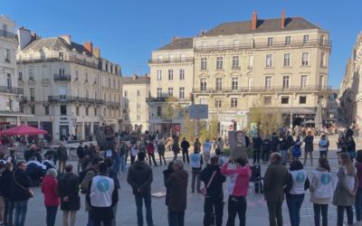 [délégation du Maine-et-Loire] VIA mobilisé à Angers contre l&rsquo;euthanasie