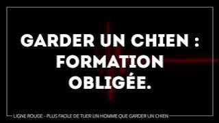 [Ligne Rouge euthanasie] Plus facile de tuer un homme que garder un chien